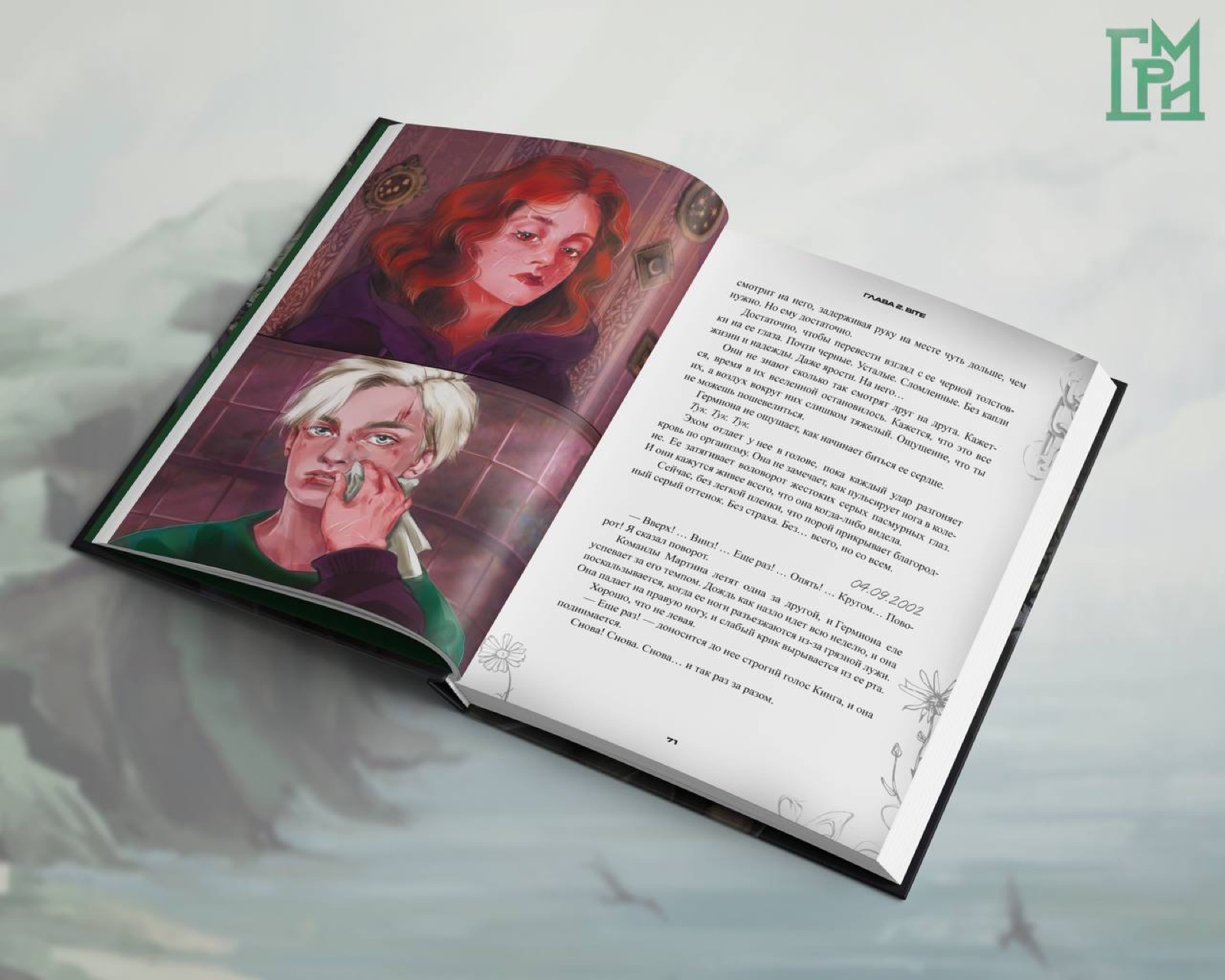 Иллюстрации внутри книги
